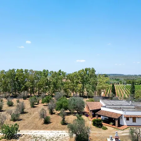 Degli Ulivi